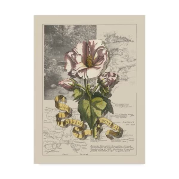 D. Bookman 'Garden For June Iii' Canvas Art, 14x19, Trademark Fine Art, Mfr#: WAG01584-C1419GG